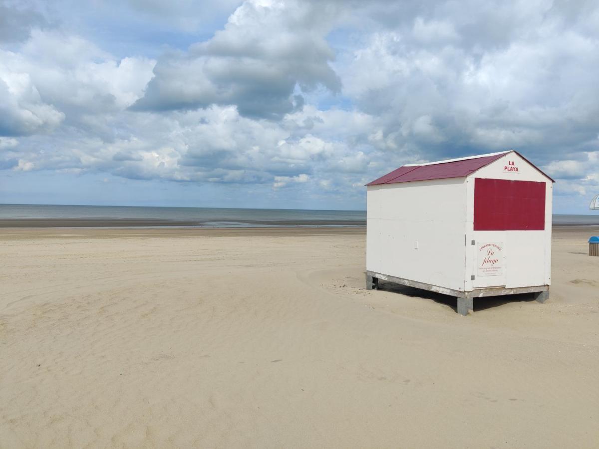 Le Zandkreek Plage & Centre - 2 Ch 科克赛德 外观 照片